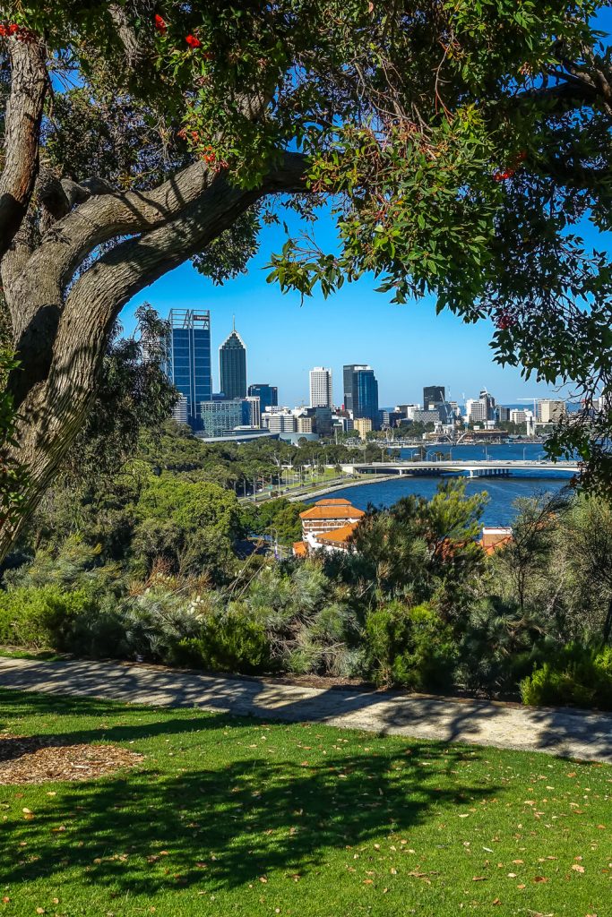 DSC05350 downtown Perth as seen from Kings Park