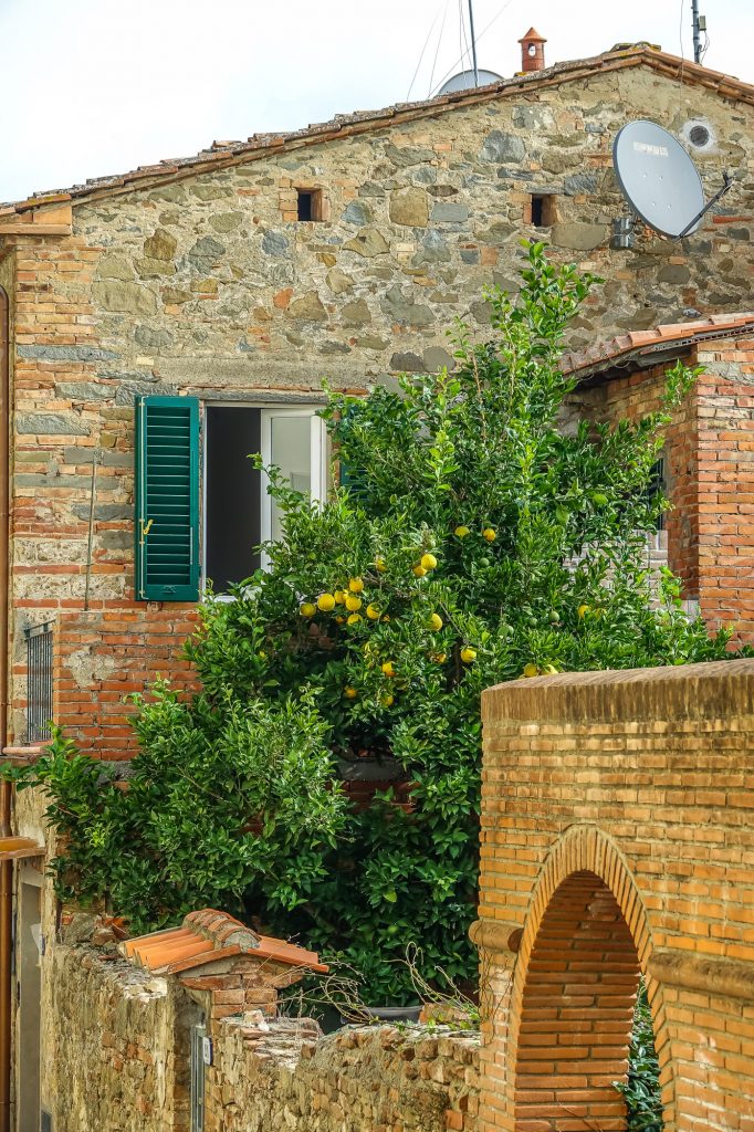Lemon Tree in town of Vinci in Tuscany